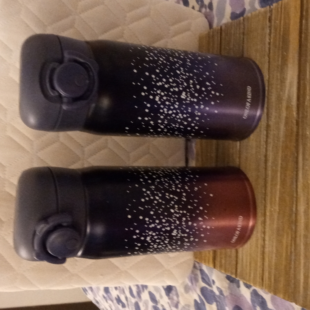 Stainless Steel Ombre Water Bottles
